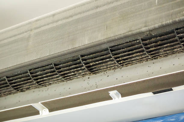 Best Affordable Air Duct Cleaning  in Bethesda, OH